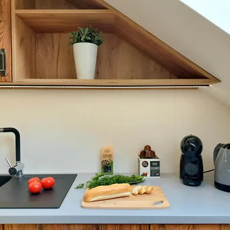 Apartament Z 1 Sypialnią Przy Rynku W żywcu Żywiec