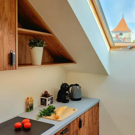 Apartament Z 1 Sypialnią Przy Rynku W żywcu *